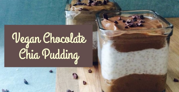 Vegan-Chocolate-Chia-Pudding.jpg